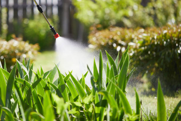 24/7 Emergency Wasp Removal experts in Beecher, MI