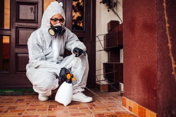 Reliable Wasp Removal contractor in Beecher, MI by Show Me Pest Control